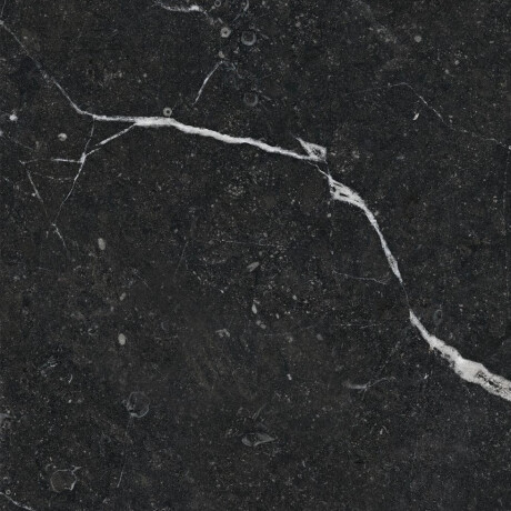Glazed Porcelain Floor Tile 60x120, Black with Gold Veins, Glossy, Rectified A4H109 Pierre Black #37