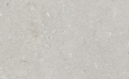 60x120 cm Floor Porcelain Tile, Light Gray Matte, A4H1093 Shellstone Bianco