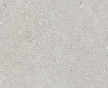 60x120 cm Floor Porcelain Tile, Light Gray Matte, A4H1093 Shellstone Bianco