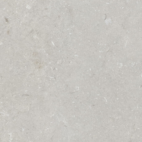 60x120 cm Floor Porcelain Tile, Light Gray Matte, A4H1093 Shellstone Bianco #1