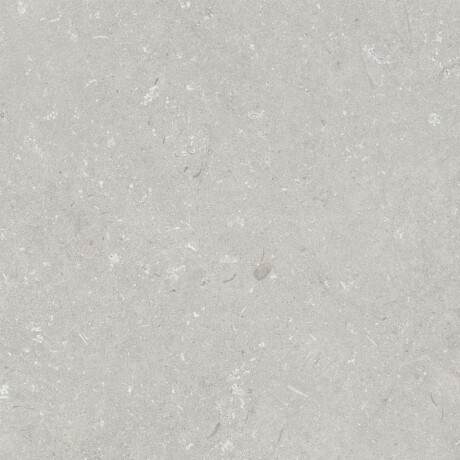 60x120 cm Floor Porcelain Tile, Light Gray Matte, A4H1093 Shellstone Bianco #2