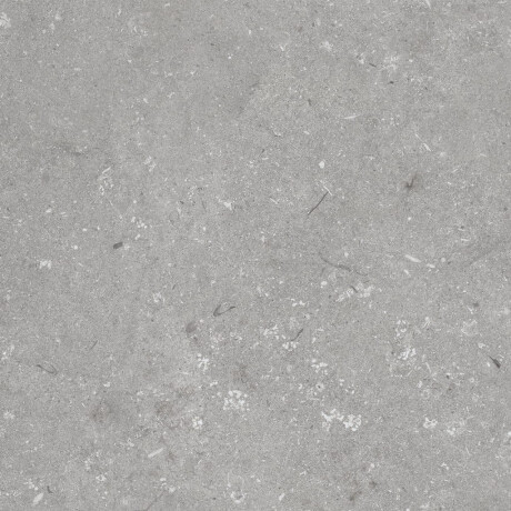 60x120 cm Floor Porcelain Tile, Matte Gray, A4H1096 Shellstone Grigio #6