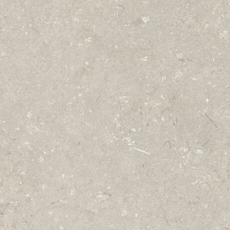 60x120 cm Beige Matte Floor Tile A4H1099 Shellstone Beige #6
