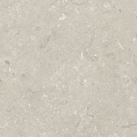 60x120 cm Beige Matte Floor Tile A4H1099 Shellstone Beige #7