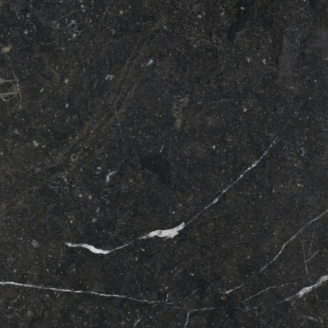 Glazed Floor Tile 60x120 with Gold Veins, Matte, Rectified, A4H110 Pierre Black #9