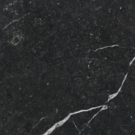 Glazed Floor Tile 60x120 with Gold Veins, Matte, Rectified, A4H110 Pierre Black #15