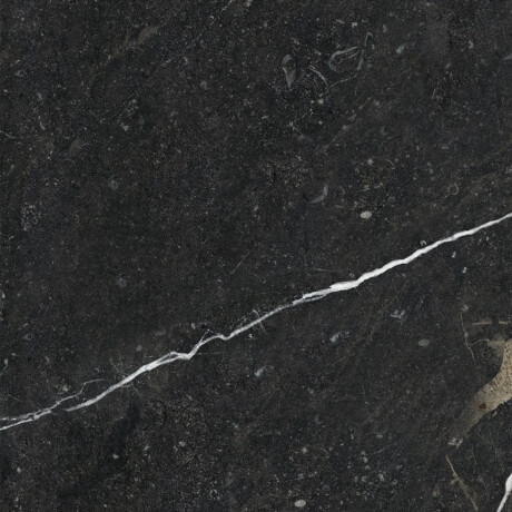 Glazed Floor Tile 60x120 with Gold Veins, Matte, Rectified, A4H110 Pierre Black #20