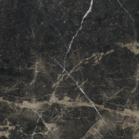 Glazed Floor Tile 60x120 with Gold Veins, Matte, Rectified, A4H110 Pierre Black #21