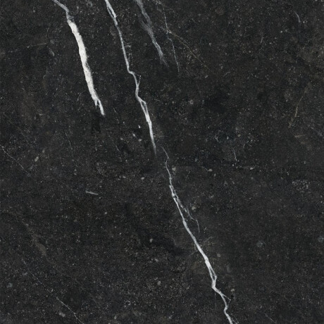 Glazed Floor Tile 60x120 with Gold Veins, Matte, Rectified, A4H110 Pierre Black #23