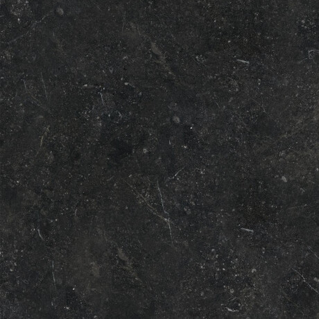 Glazed Floor Tile 60x120 with Gold Veins, Matte, Rectified, A4H110 Pierre Black #24