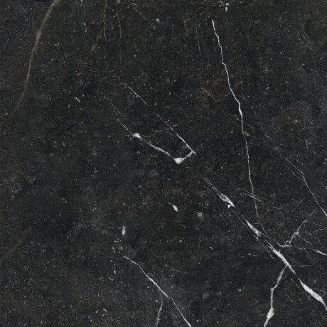 Glazed Floor Tile 60x120 with Gold Veins, Matte, Rectified, A4H110 Pierre Black #26