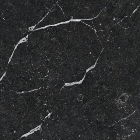 Glazed Floor Tile 60x120 with Gold Veins, Matte, Rectified, A4H110 Pierre Black #38