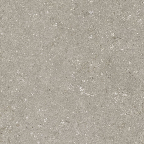 60x120 cm Taupe Matte Floor Tile A4H1102 Shellstone Taupe #4