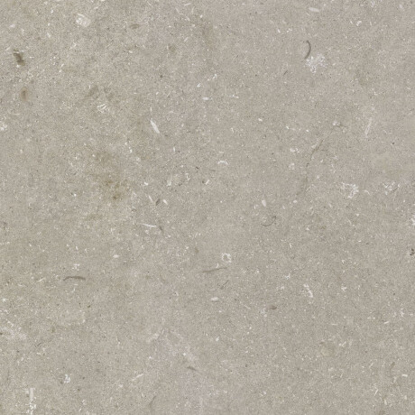 60x120 cm Taupe Matte Floor Tile A4H1102 Shellstone Taupe #6