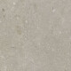 60x120 cm Taupe Matte Floor Tile A4H1102 Shellstone Taupe #6