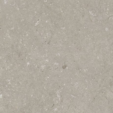 60x120 cm Taupe Matte Floor Tile A4H1102 Shellstone Taupe #7
