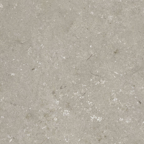 60x120 cm Taupe Matte Floor Tile A4H1102 Shellstone Taupe #8