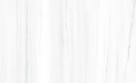 Large-format porcelain tile, 120x270 cm, with gray veining, glossy finish, rectified, A4H185 Dolomite