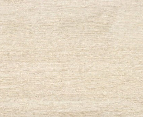 Wood-look floor tiles, 23x120, in light amber matte, A4H503 Amberly Light