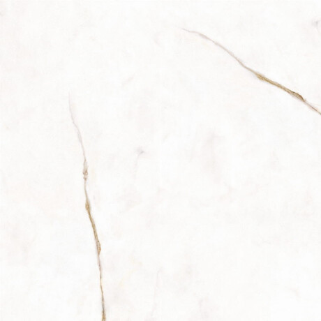60x120 Floor Porcelain Tile, Marble with Warm-Toned Veins, Glossy Finish A4H521 Dubai Gold #4