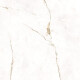 120x120 floor tile, marble with warm-toned veins, glossy finish, A4H522 Dubai Gold #8