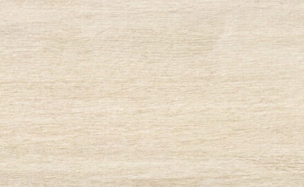 Wood-look floor tiles, 30x150, in light amber, matte finish, A4H638 Amberly Light