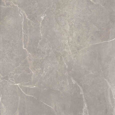 Glazed Porcelain Floor Tile, 60x120 cm, Matte Gray, Rectified, A4H84 Iroc Greige #2