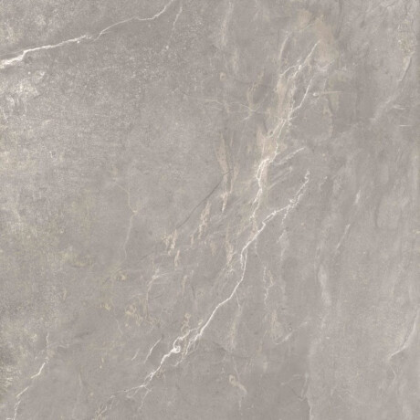 Glazed Porcelain Floor Tile, 60x120 cm, Matte Gray, Rectified, A4H84 Iroc Greige #5