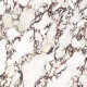 Large-format 120x280 porcelain tile, marble with purple veins, glossy finish, A4H840 Calakatta Wiola #4