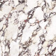 Large-format 120x280 porcelain tile, marble with purple veins, matte finish, A4H844 Calakatta Wiola #6