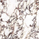 Large-format 120x280 porcelain tile, marble with purple veins, matte finish, A4H844 Calakatta Wiola #7