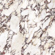 120x120 Porcelain Tile, Marble with Purple Veins, Matte Finish, A4H845 Calakatta Wiola #8