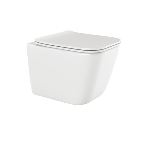 PAROS flushless toilet bowl white with free-flush board #3