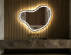 Irregular Mirror LED Lighted decorative design N223