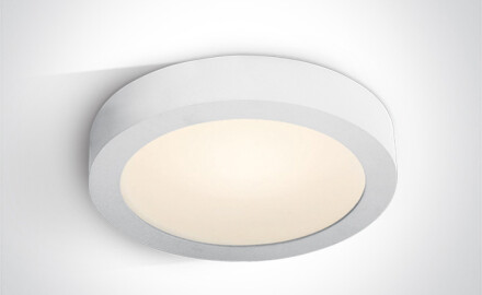 THEMELO Ceiling Light 30W 4000K IP40 White