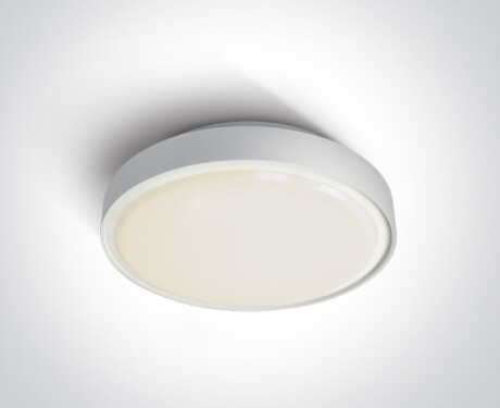 RAFTI AN Ceiling Light 24W 3000K IP65 Anthracite