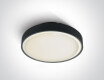 RAFTI EA Ceiling Light 2x12W  IP65 Anthracite