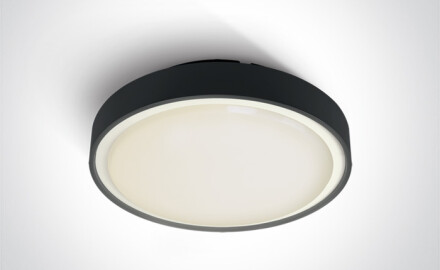 RAFTI EA Ceiling Light 2x12W  IP65 Anthracite