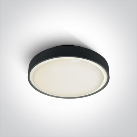RAFTI EA Ceiling Light 2x12W  IP65 Anthracite #1