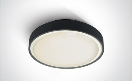 RAFTI E 12W Ceiling Light, IP65, Anthracite