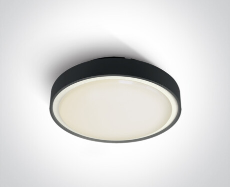 RAFTI E 12W Ceiling Light, IP65, Anthracite
