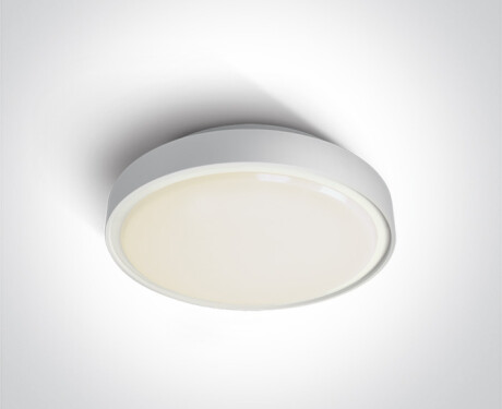 RAFTI E 12W Ceiling Light, IP65, Gray