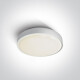 RAFTI E 12W Ceiling Light, IP65, Gray #1