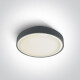 RAFTI E 12W Ceiling Light, IP65, White #1
