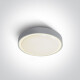 RAFTI N Ceiling Light 16W 3000K IP65 Anthracite #1