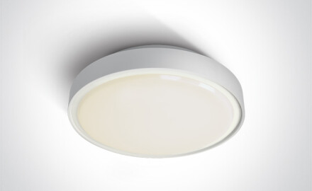 RAFTI N Ceiling Light 16W 3000K IP65 Gray
