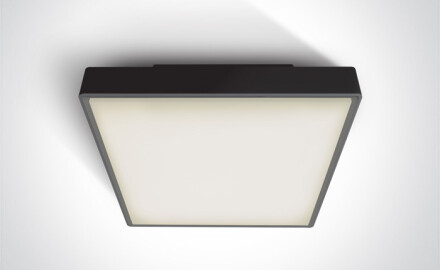 PIRNARI EA Ceiling Light 2x12W E27 IP65 Anthracite