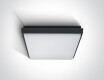 FASIDERI 20W 3000K IP54 Ceiling Light, White