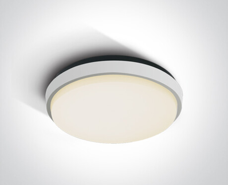 FASIDERI 2 Ceiling Light 30W 3000K IP54 Anthracite