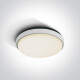 FASIDERI 2 Ceiling Light 30W 3000K IP54 Anthracite #1
